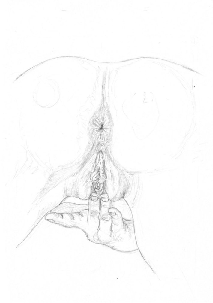 Рисунок карандашом промежность