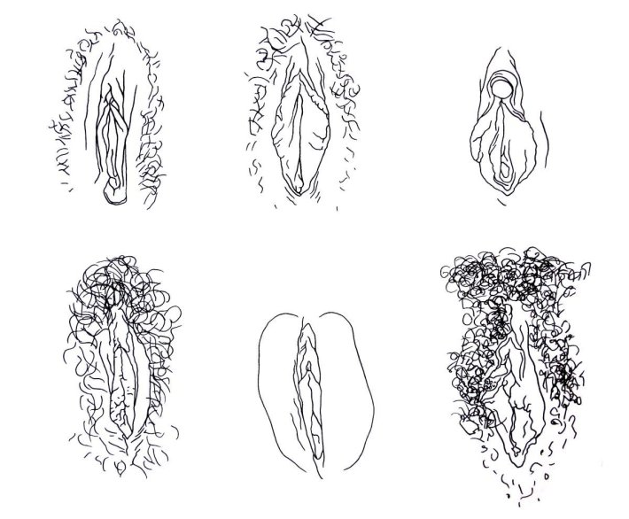 Рисование женских половых органов