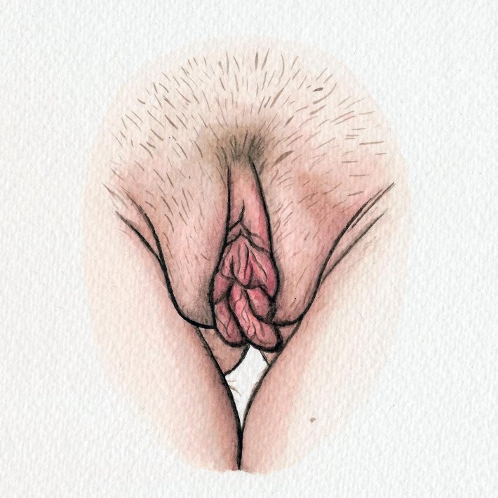 Женская вагина княгиня