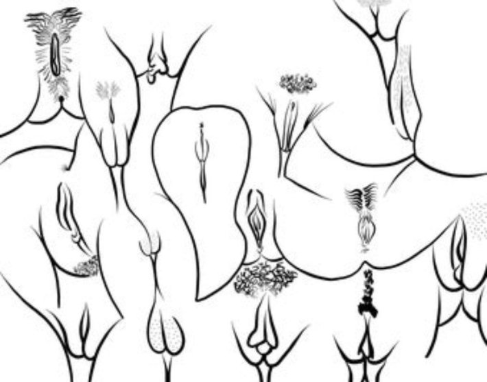 Стилизованное изображение вагины