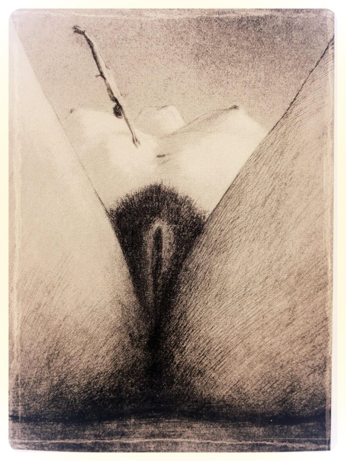 Женская вагина в живописи