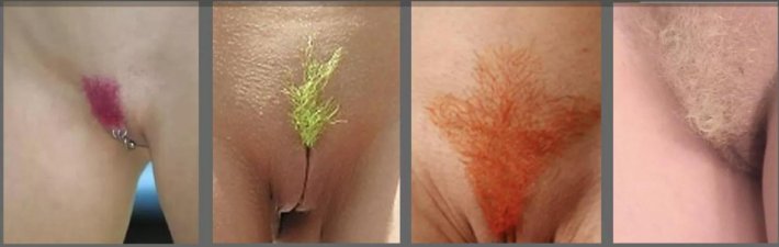 Разноцветные лобковые волосы