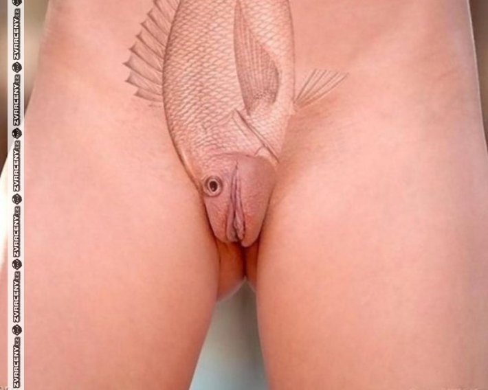 Женские эротические стрижки