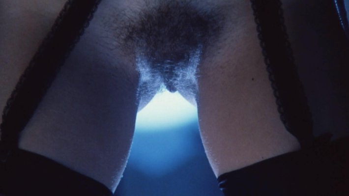 Подглядывающий Катарина Василиса