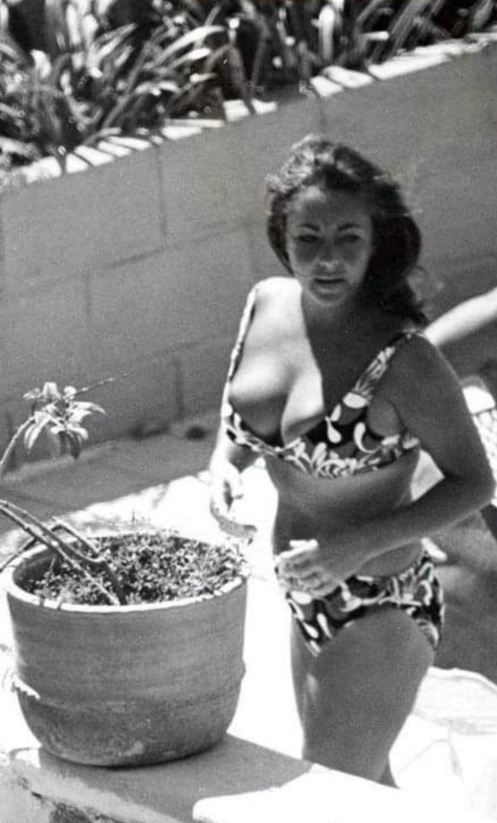 Элизабет Тейлор в купальнике