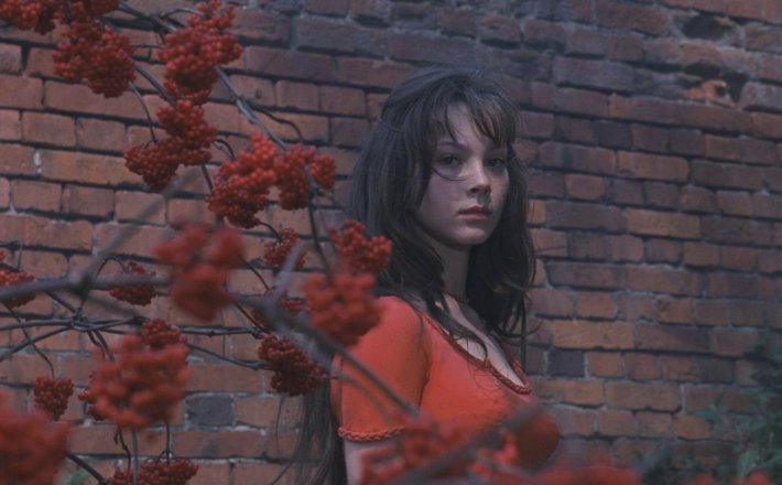 Галина Беляева мой ласковый и нежный зверь